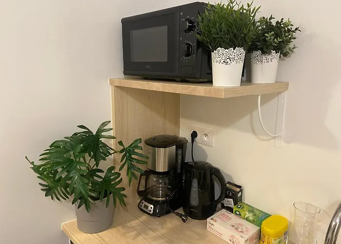 Apartment Entierement Refait A Neuf - 170