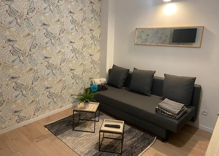 Entierement Refait A Neuf - 170 Apartment Rouen